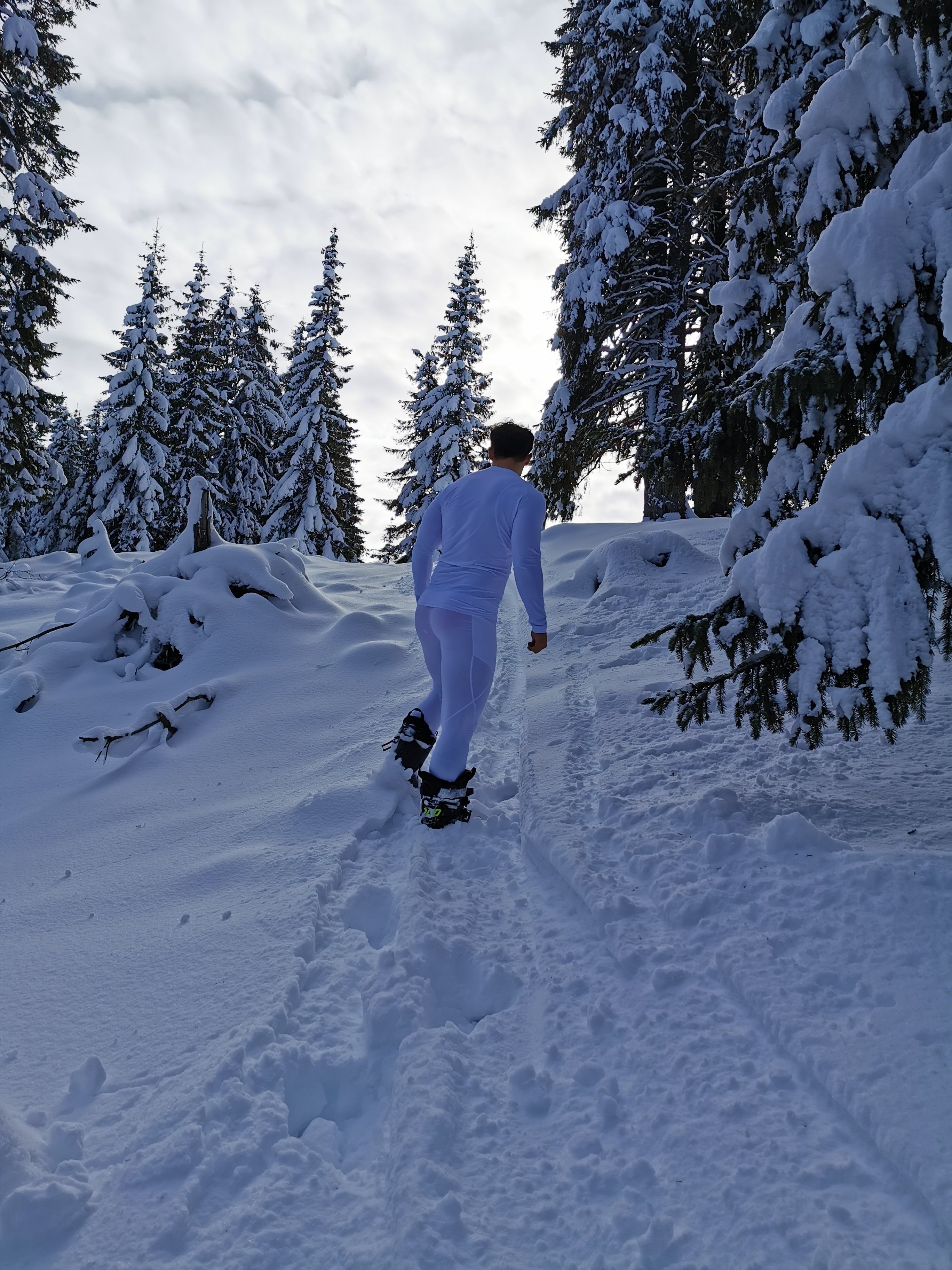 BrutusK photo 1220