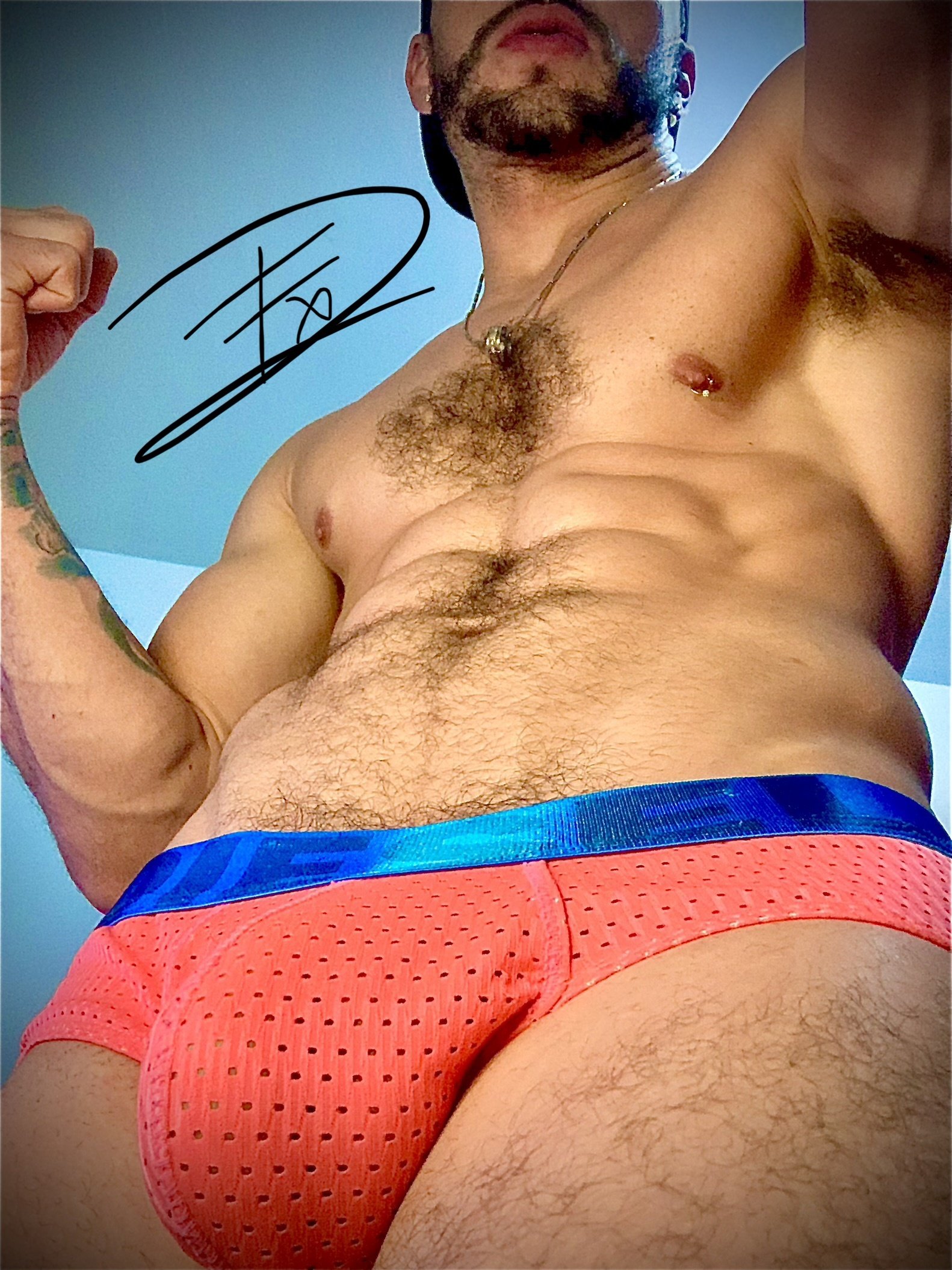 damnfox photo 47
