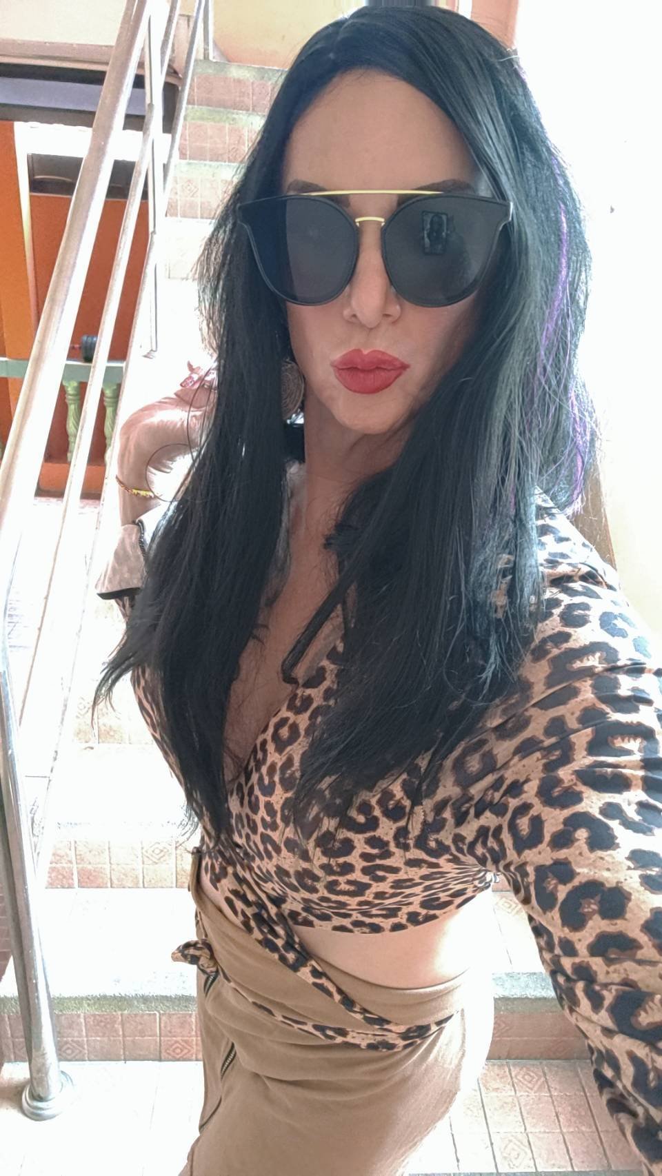 TransAgera photo 89