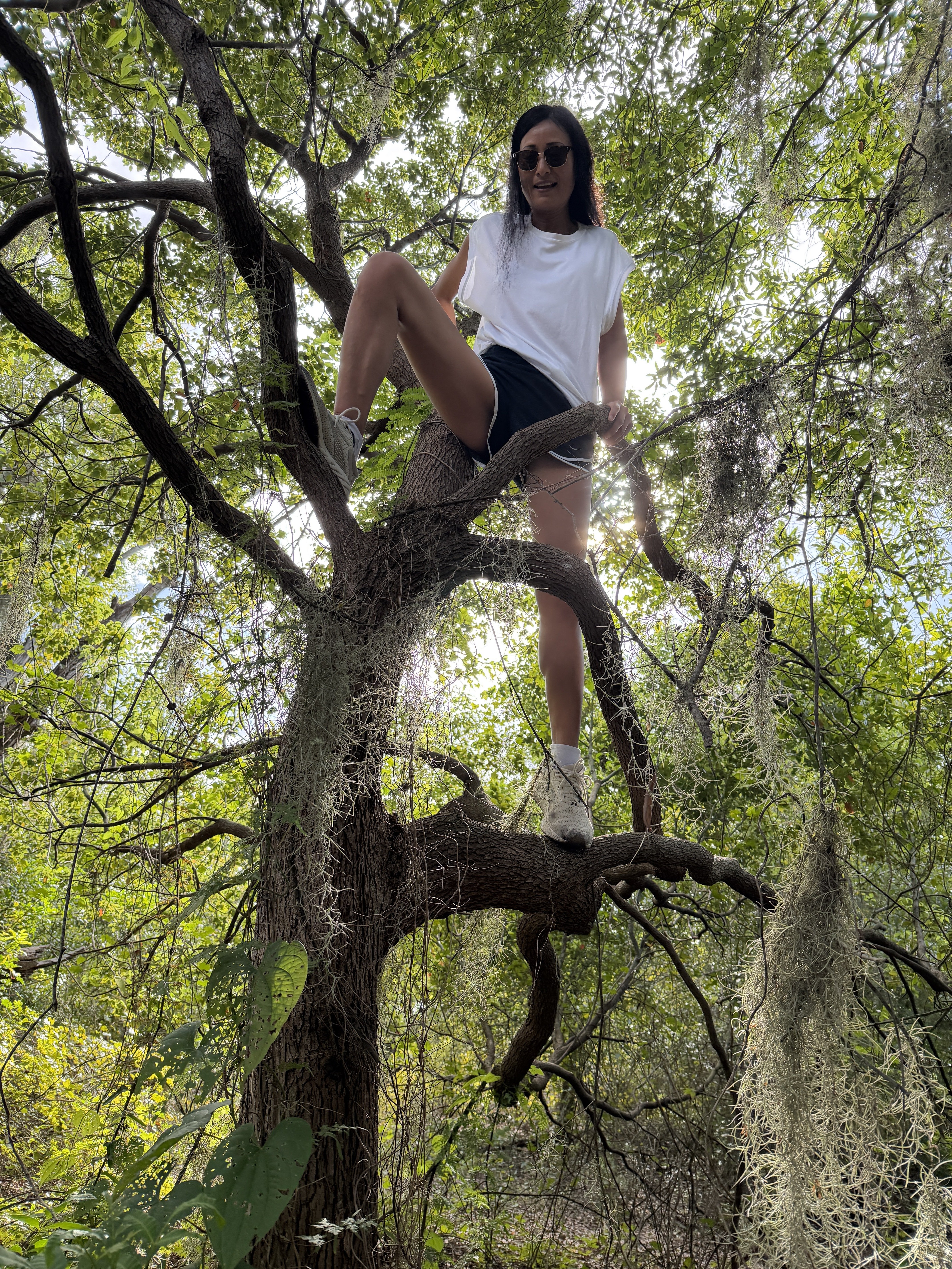 unchartedspark photo 235