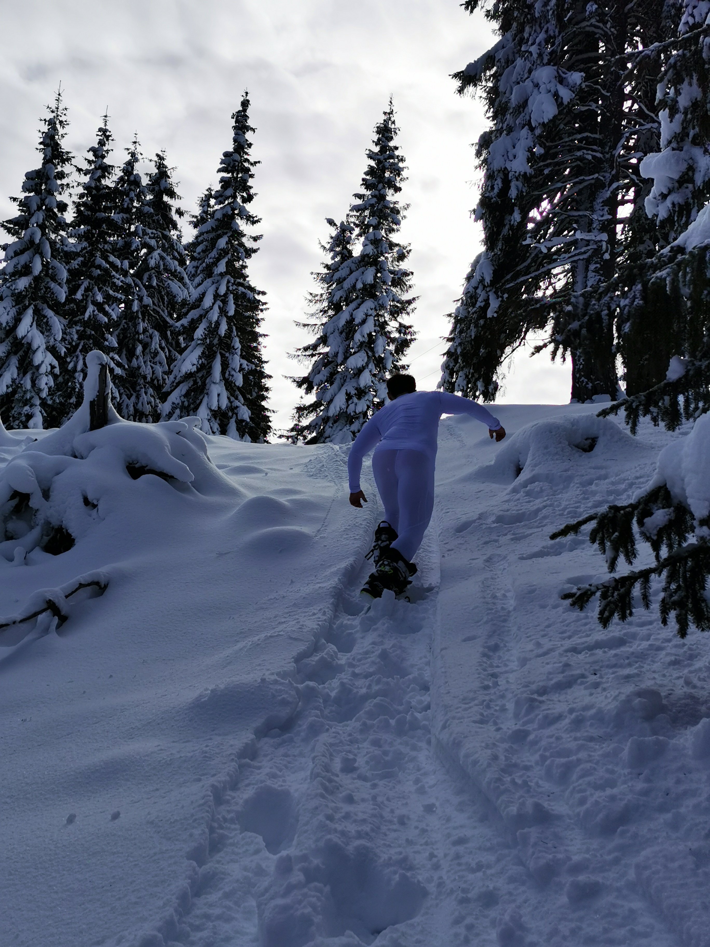 BrutusK photo 1222