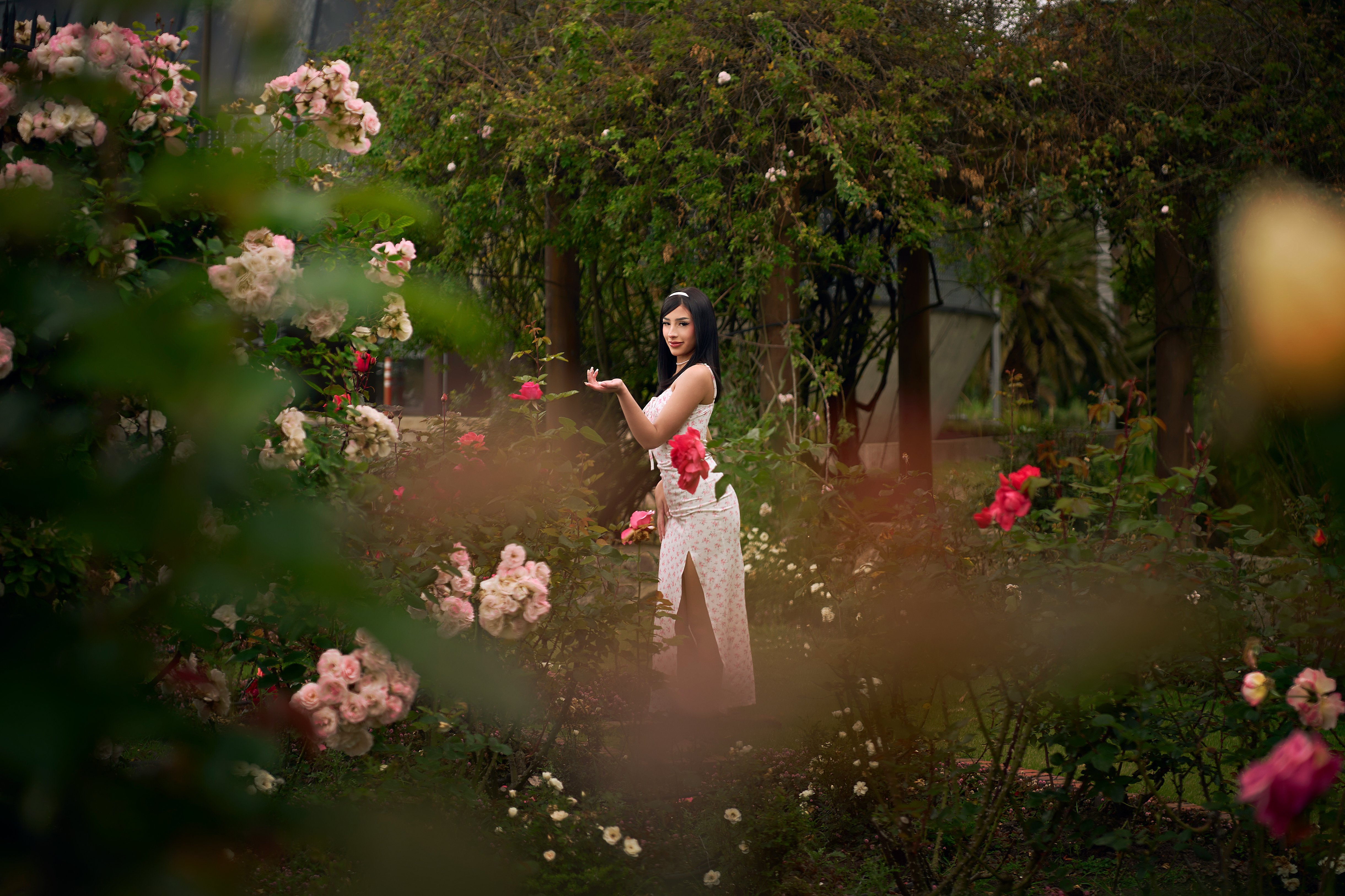 LissRibeiro photo 111