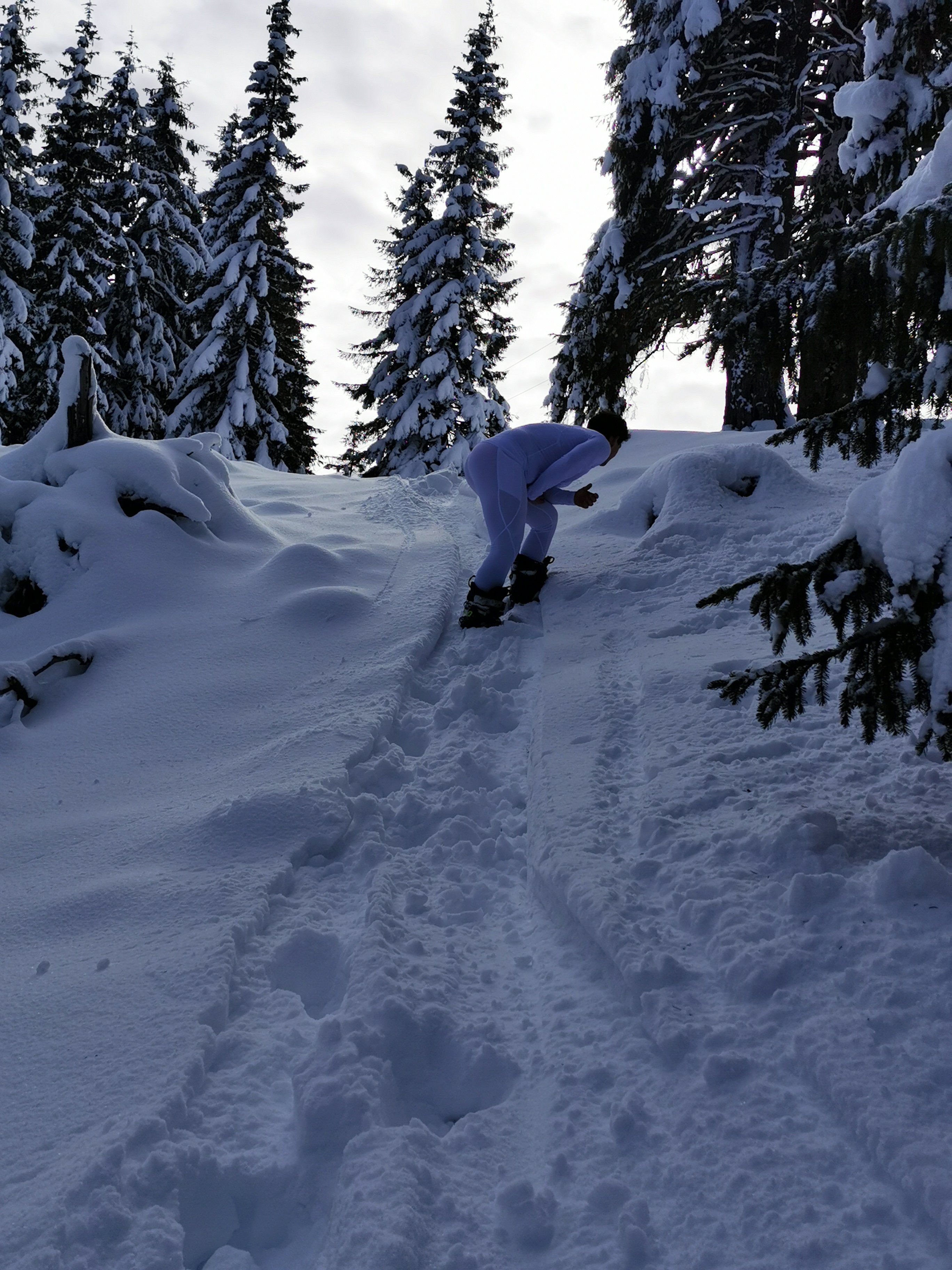 BrutusK photo 1224