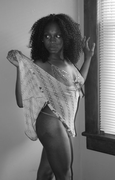 Dandeliones photo 7